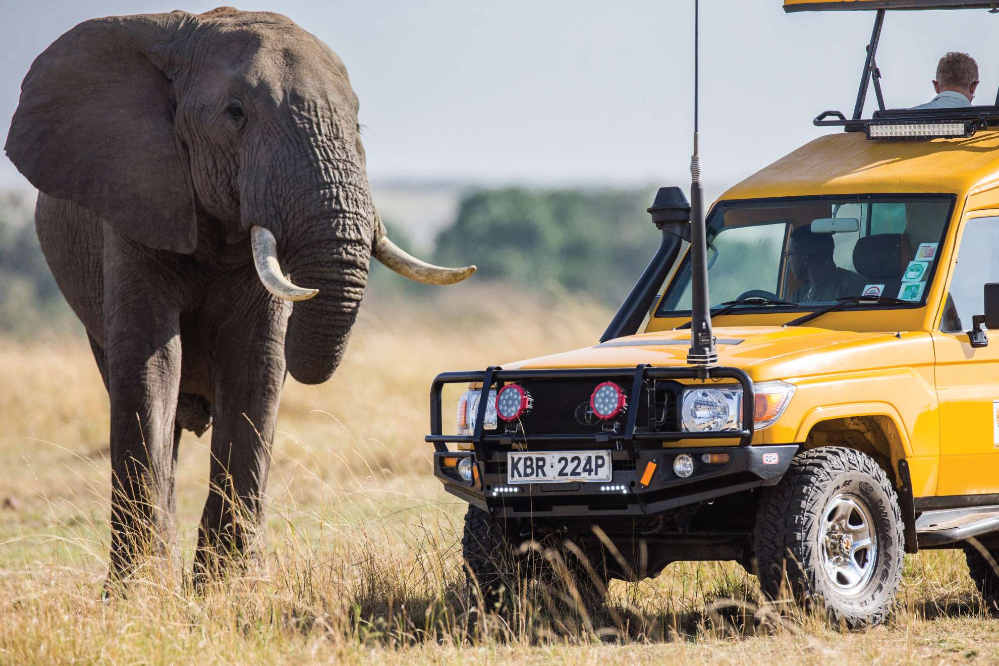 Revelation African Safaris