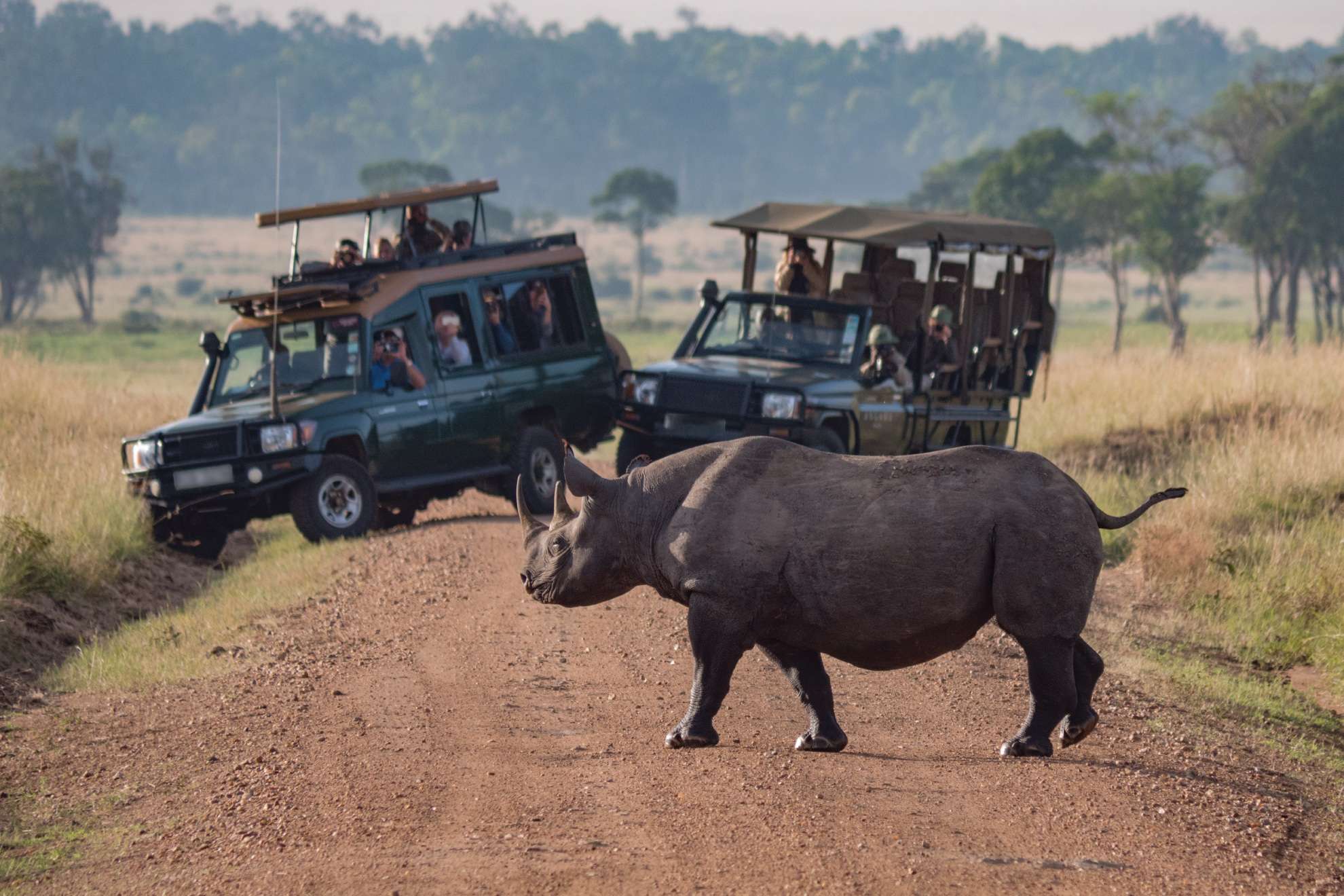 Revelation African Safaris